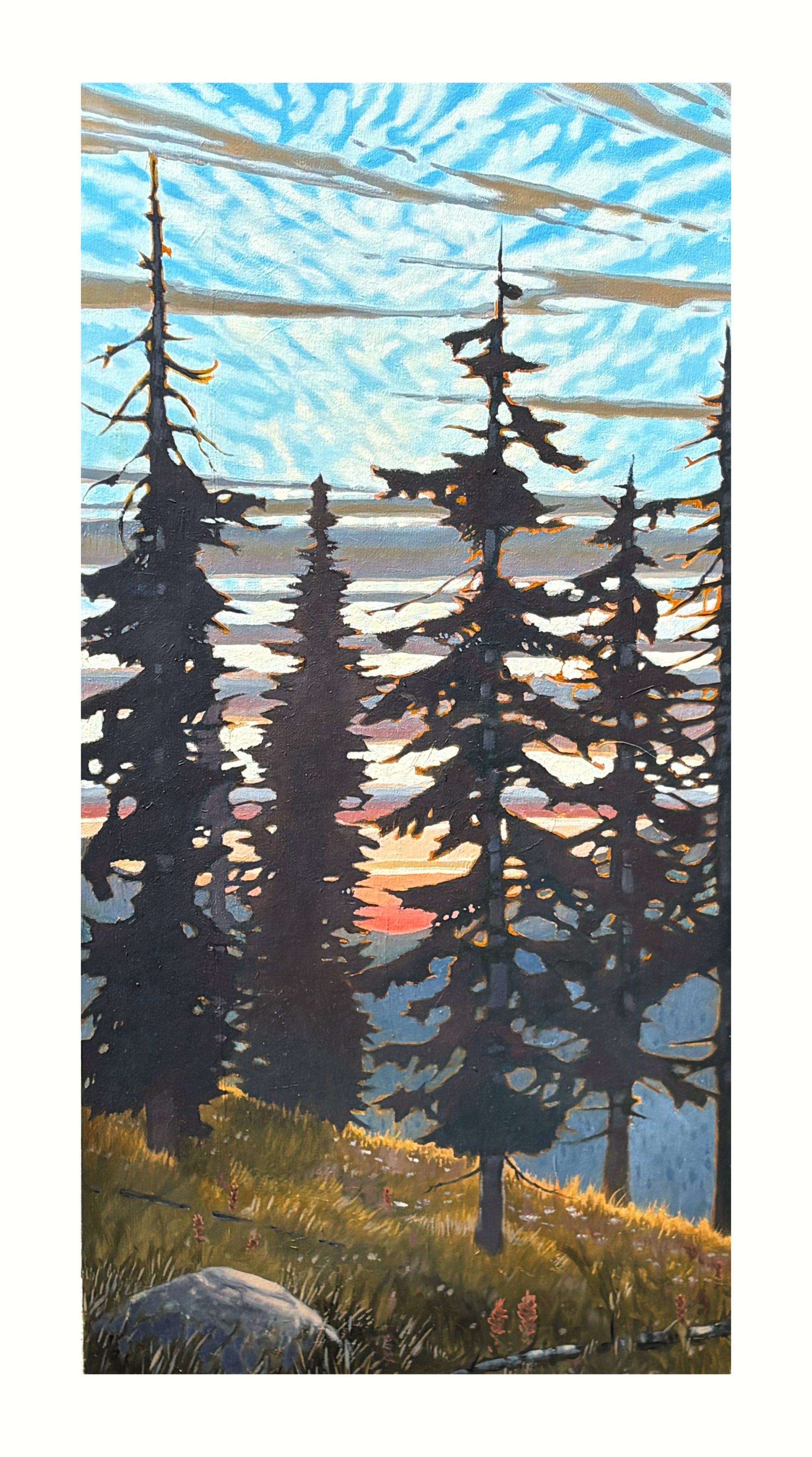Chilcotin mountain tree line painting with glowing evening light and clouds, meadow flowers